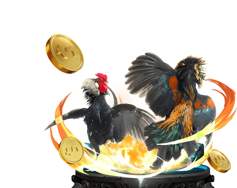 Đá gà Campuchia trực tiếp